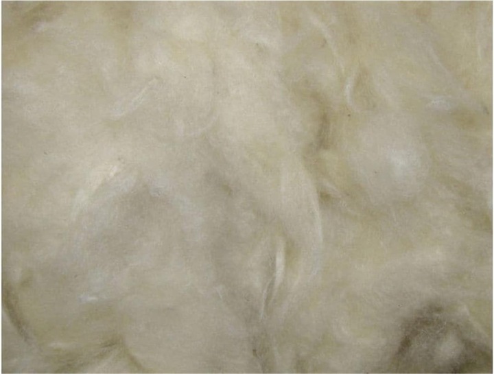 Actual product image Nobby Kapok wool (0.05 kg, Bedding)