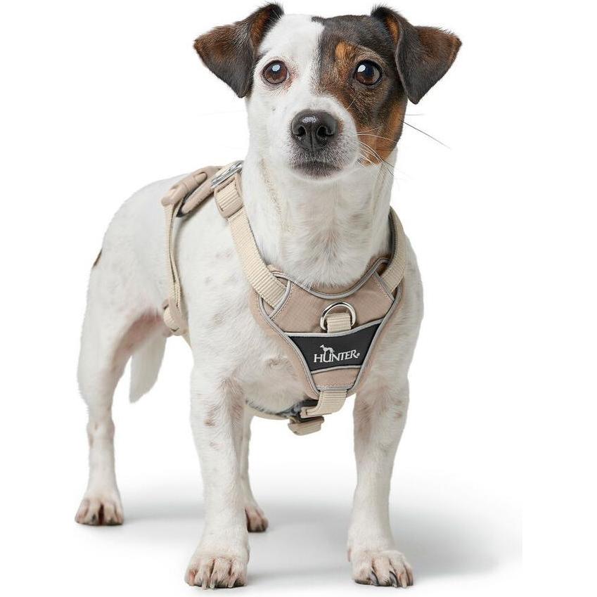 Harnais pour Chien Hunter DIVO UP Beige L/XL