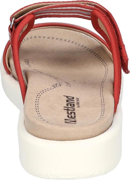 Actual product image Westland 25404-410 (42)