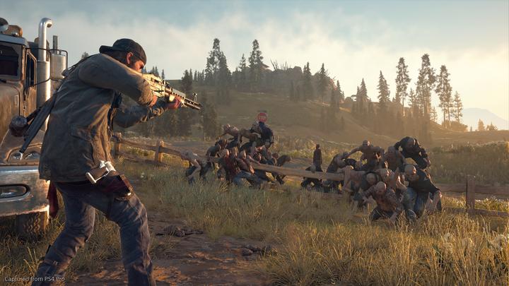 Actual product image Sony Days Gone (PS4, DE)