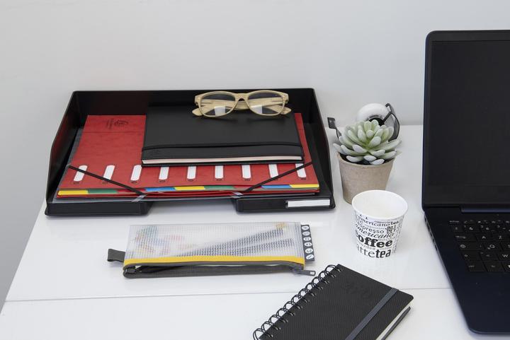 Actual product image Exacompta HARMONIKA - A4 file folders (A4, 1x)