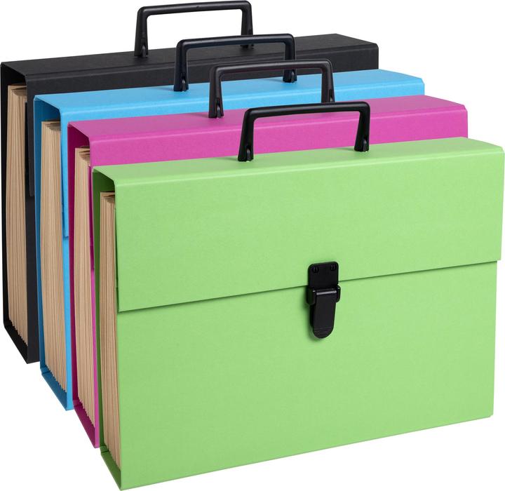 Produktbild Exacompta Fächermappen (A4, 32x)