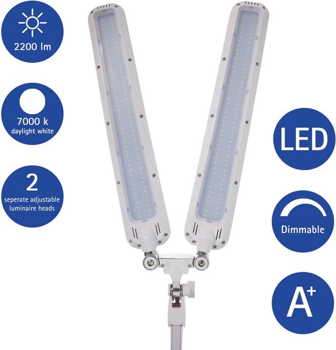 Image du produit Maul MAULcraft Duo (2200 lm)