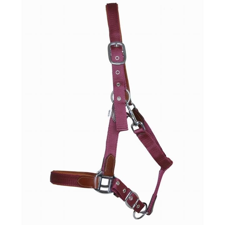 Immagine prodotto TdeT Cavallo in cuoio e cinturino