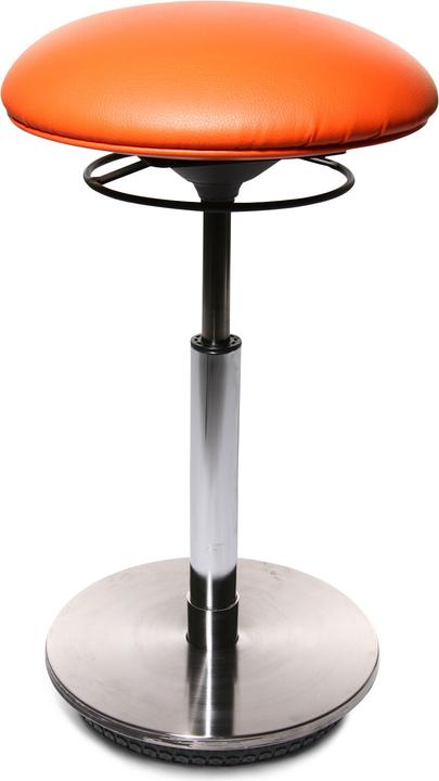 Actual product image Topstar Sitness 27