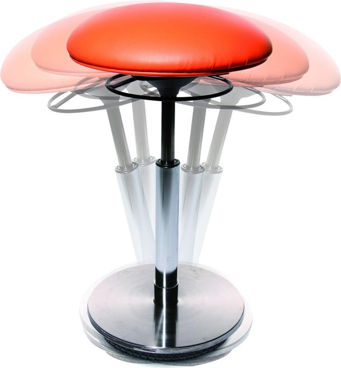 Actual product image Topstar Sitness 27