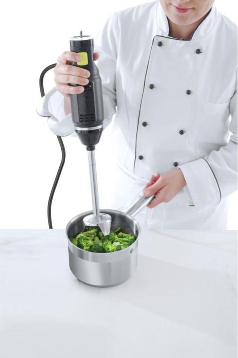 Actual product image Hendi Hand blender design by Bronwasser with 6 speeds