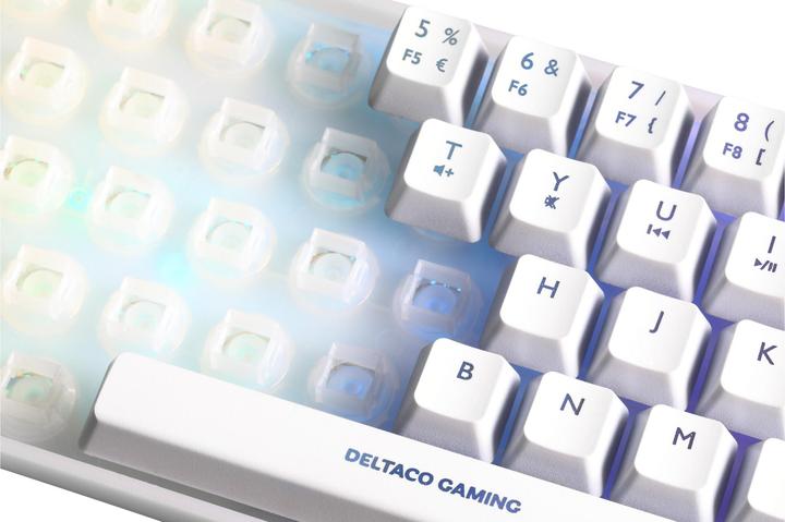 Produktbild Deltaco Gaming TKL Gaming Keyboard membrane (Schweiz, Kabelgebunden)