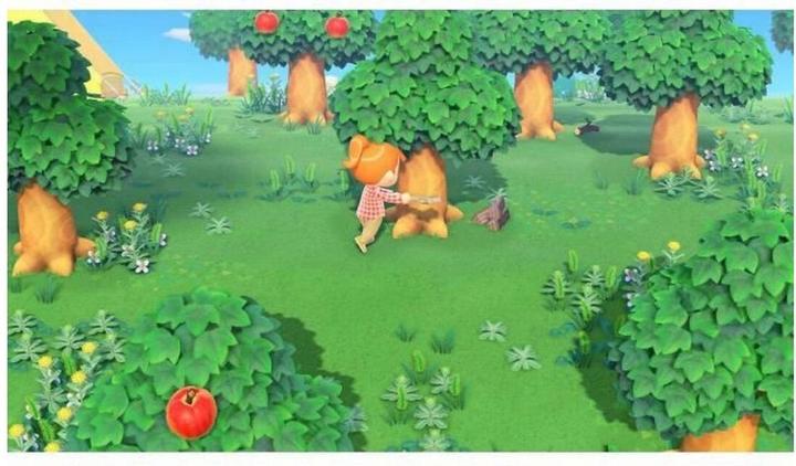 Actual product image Nintendo Animal Crossing: New Horizons (Switch, FR)