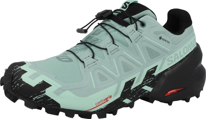 Produktbild Salomon Speedcross 6 GORE-TEX (40)