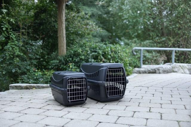 Produktbild Kerbl Transportbox Expedion Eco (Hund, Sicherheitsverschluss)