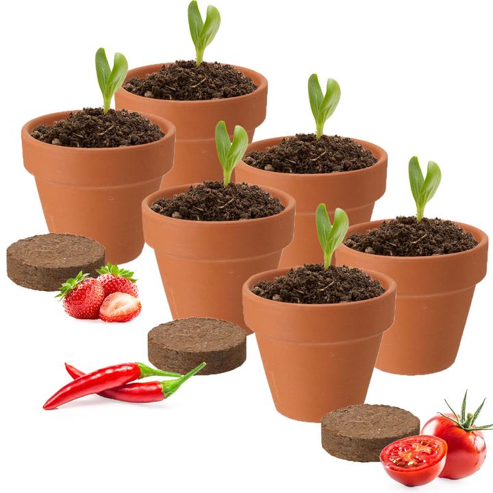 Produktbild Cepewa 2er-Set Pflanz-Set mit TontÃ¶pfen und Samen, PflanztÃ¶pfe