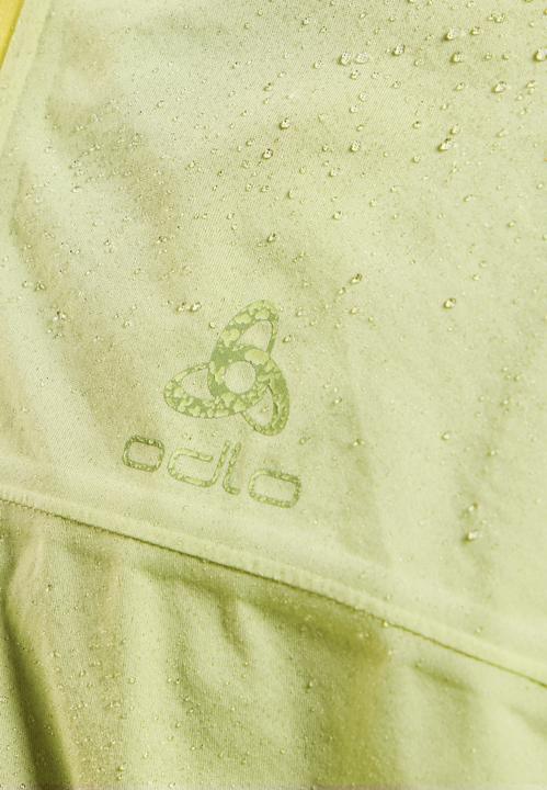 Actual product image Odlo X-Alp Performance (L)