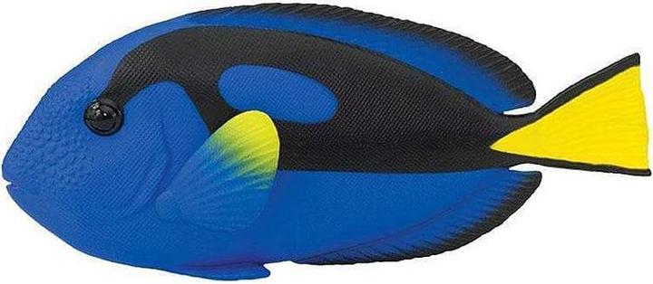 Produktbild Safari Paletten-Doktorfisch