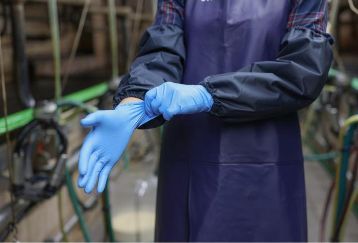 Produktbild Kerbl Nitril PremiumPlus, Gr.L 8mil Einnmalhs, 50 St, blau ungepud (L)