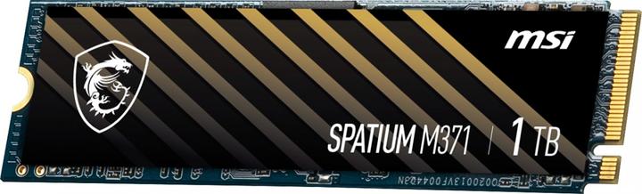 Actual product image MSI M371 NVMe M.2 (1000 GB, M.2 2280)
