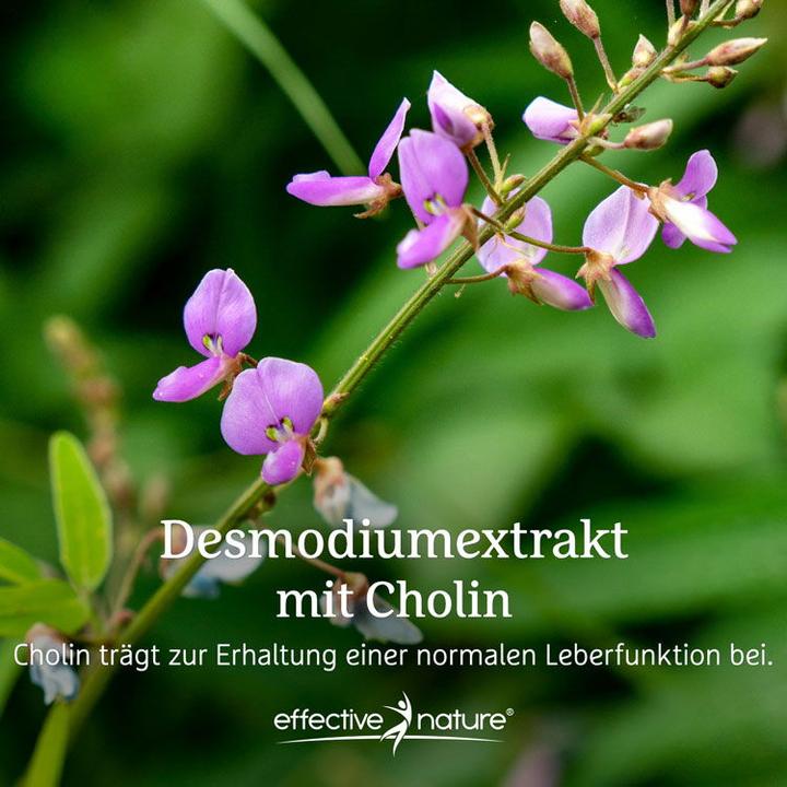 Produktbild Effective Nature Desmodium-Extrakt (90 Stück, Kapseln, 90 g)