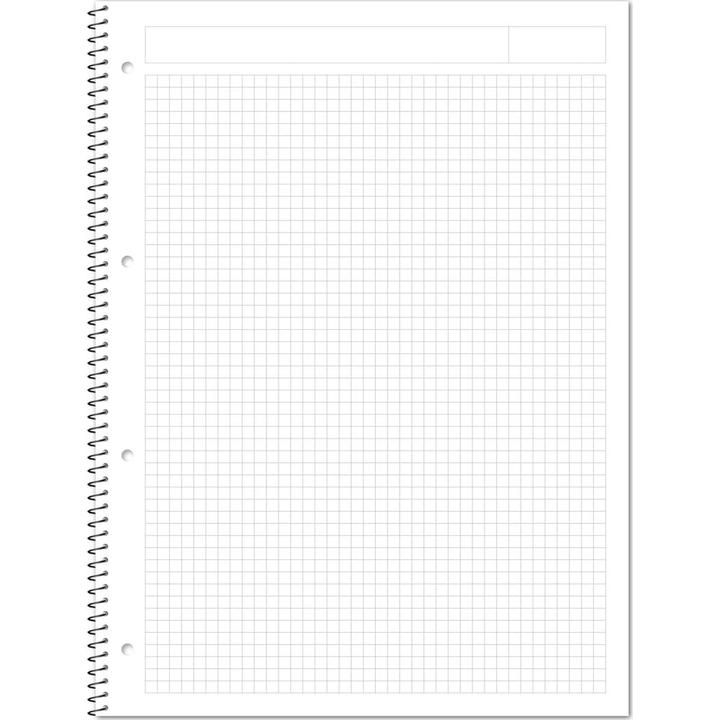 Actual product image Ursus Collegeblock A4 80 Blatt kariert weiss (A4, Checked, Hardcover)