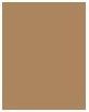 Actual product image Rimmel London RIMMEL Wonder Last Brow Tint tusz do brwi 001 Blonde 4,5ml (001 Blonde)