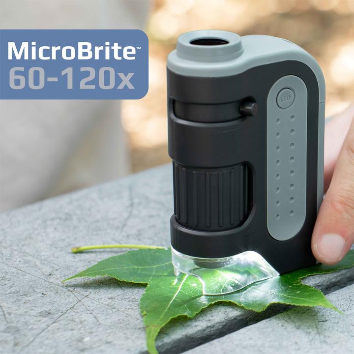 Actual product image Carson Optical MicroBrite plus