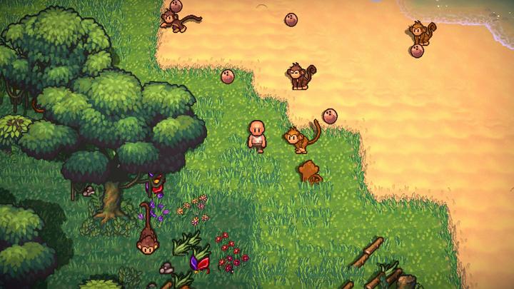 Image du produit Plaion Les survivalistes (PS4, EN)