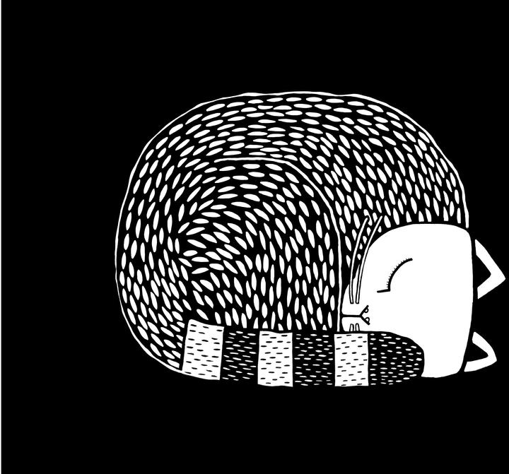 Produktbild Das grosse Malbuch von Mies van Hout