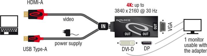Actual product image Delock Adapter HDMI plug (DP, DVI, VGA, 16 cm)