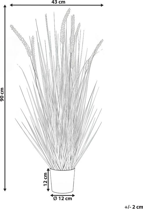 Immagine prodotto Beliani Bristlegrass (90 cm)