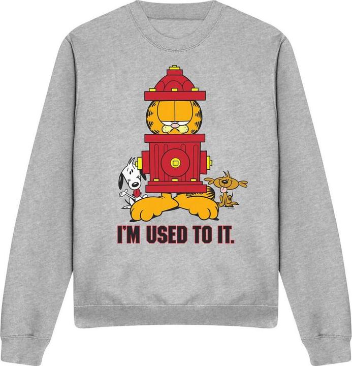 Immagine prodotto Garfield I'm Used to It Felpa Adulto Unisex (L)
