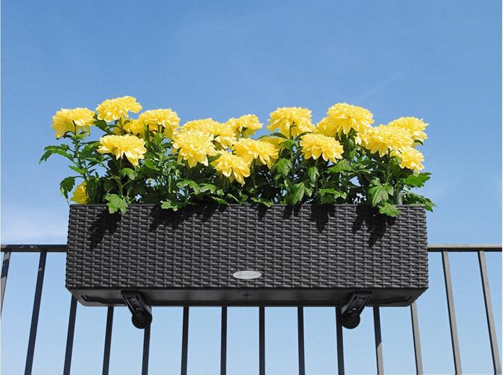Produktbild Lechuza Balkonkastenhalter für Balconera