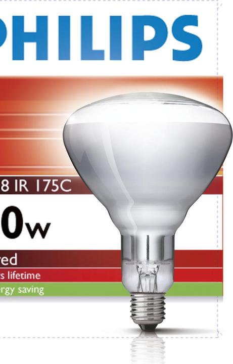 Philips 22315 Hartglaslampe (150 W)