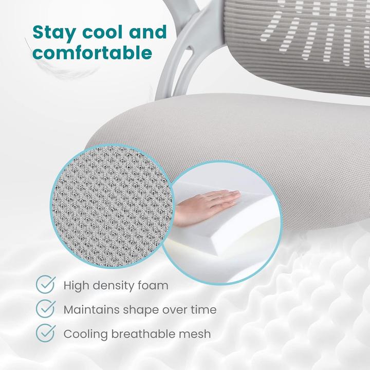 Produktbild Dumos Ergonomischer Bürostuhl mit Lendenwirbelstütze, höhenverstellbar