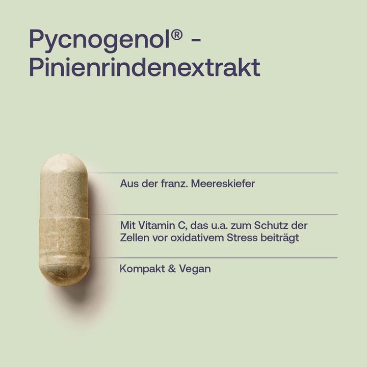 Actual product image Effective Nature Pycnogenol - Pinienrindenextrakt (60 pcs., Capsules)