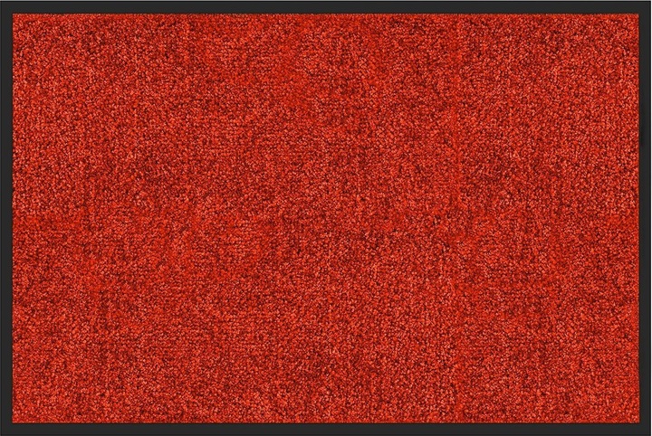 Rot