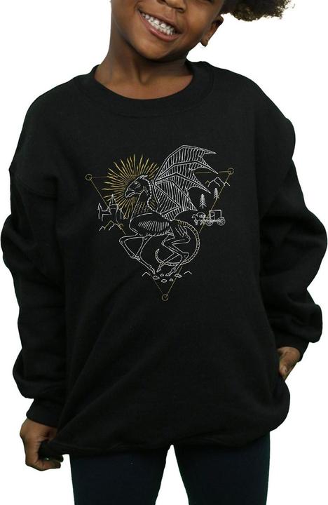 Produktbild Thestral Line Art Sweatshirt Mädchen (116)
