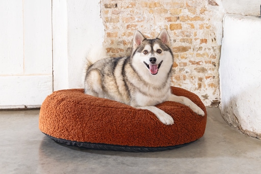 Productafbeelding Designed by Lotte Geribbeld (Hond)