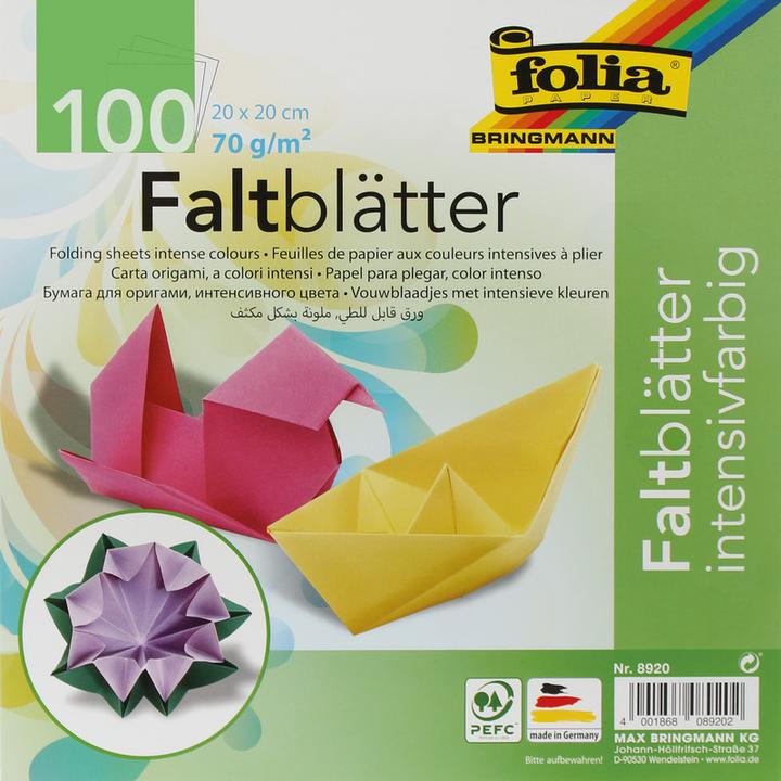 Image du produit Folia Dépliants intensifs (70 g/m², 100x)