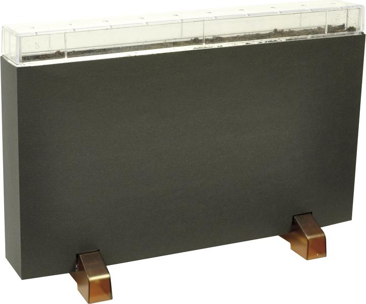 Image du produit Eduplay Maison-racine / ferme de vers