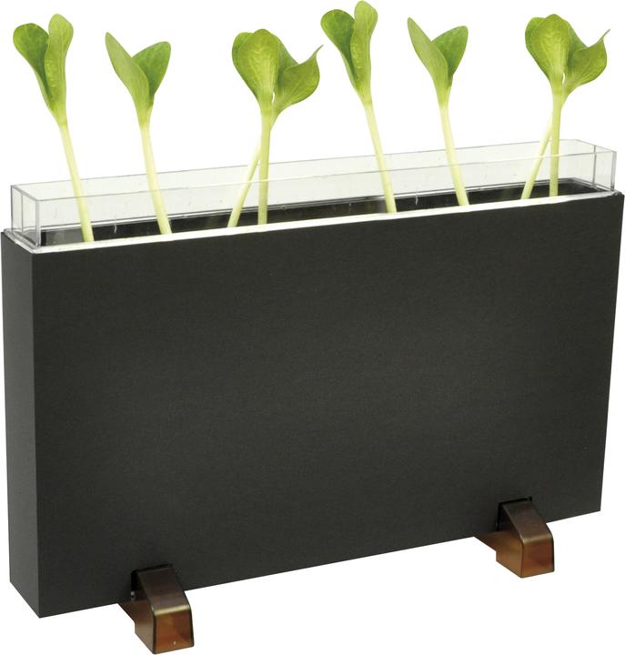 Image du produit Eduplay Maison-racine / ferme de vers