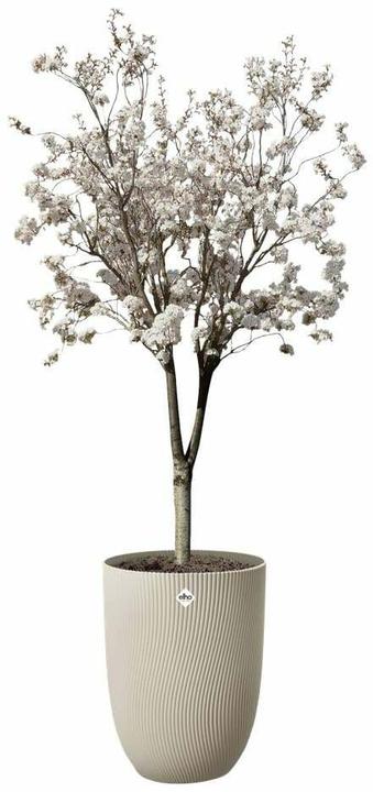 Produktbild Elho Pflanzentopf Sereh Hoch 40 cm Beige (39 x 53 cm)