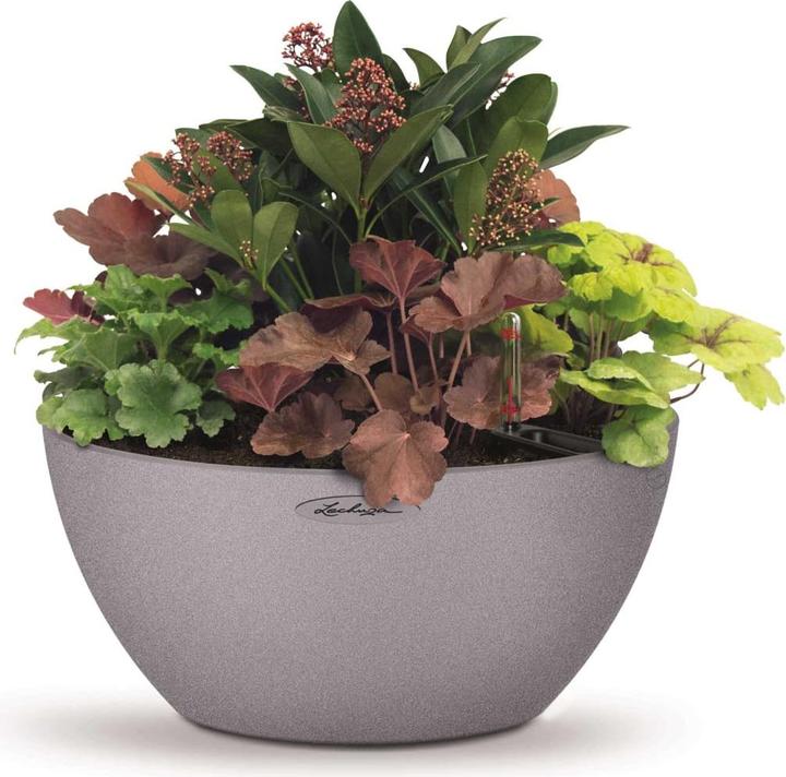 Image du produit Lechuza Cubeto Color (40 x 18.30 cm)