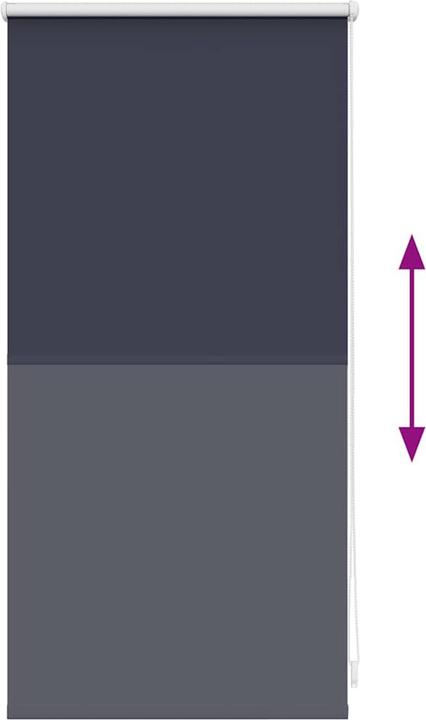 Image du produit vidaXL Verdunkelungsrollos (40 x 100 cm)