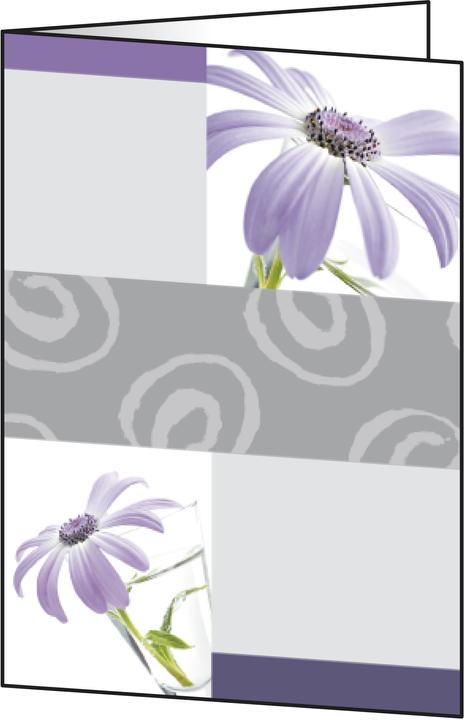 Produktbild Sigel Motiv-Karten (25 Stk.)