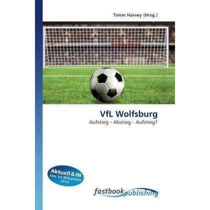 VfL Wolfsburg, Ratgeber