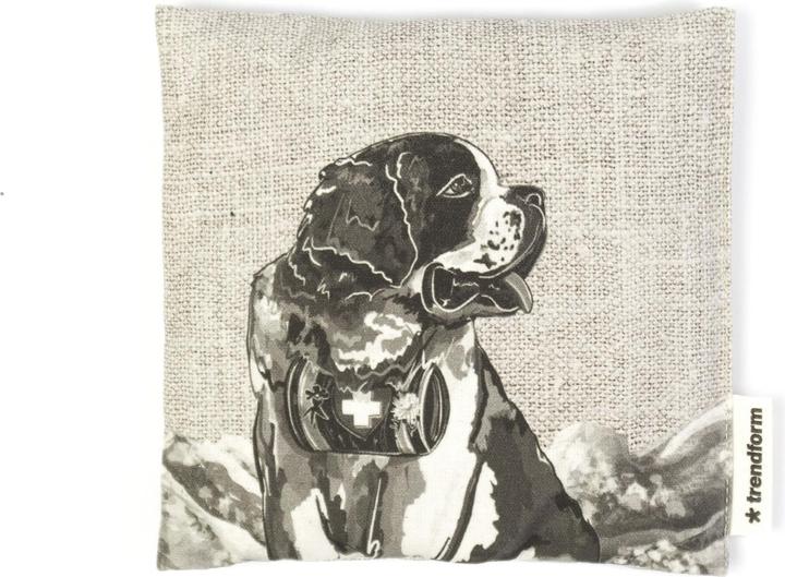 Immagine prodotto Trendform CUSCINO KIRSCHKERN MINI Barry (140 x 140 cm)