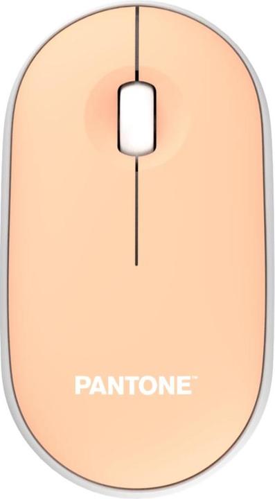 Actual product image Pantone PT-MS001E (Wireless)