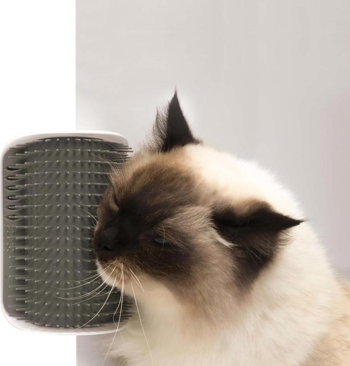 Catit Sensi