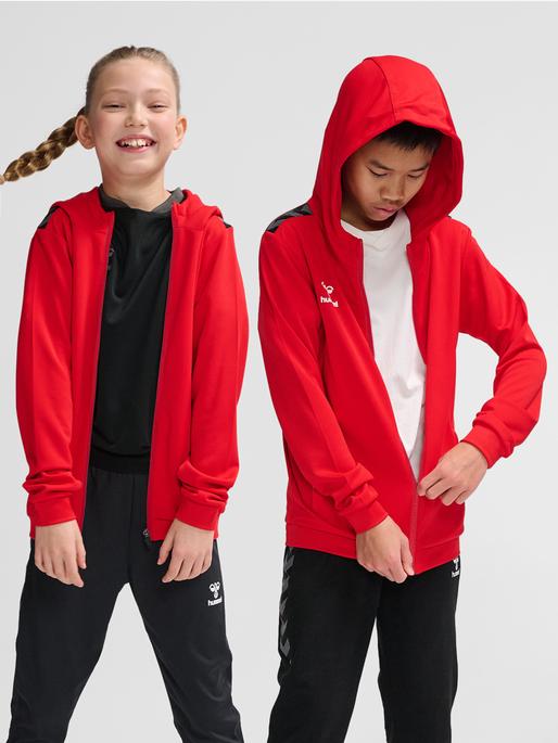 Produktbild hummel Hmlauthentic Pl Zip Hoodie Kids (164)