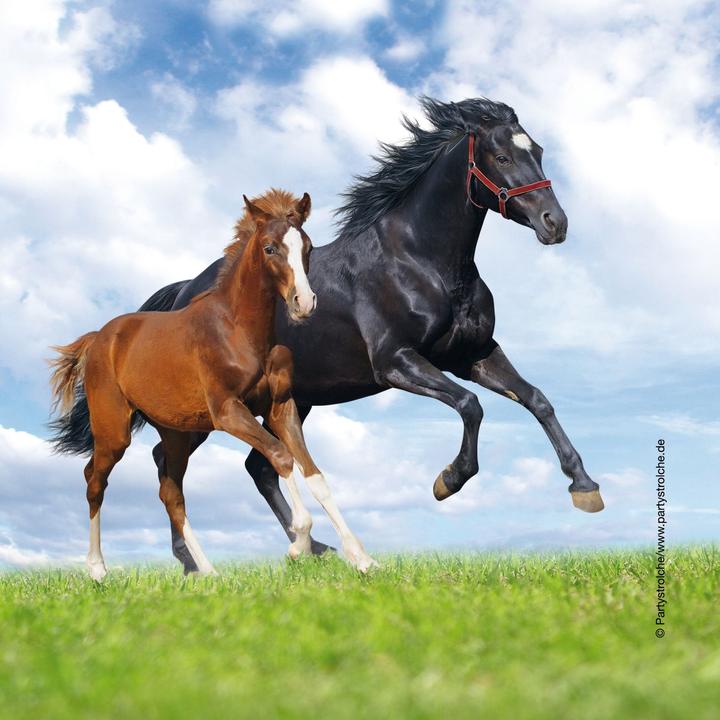 Immagine prodotto Partystrolche Tovaglioli Cavallo e Puledro