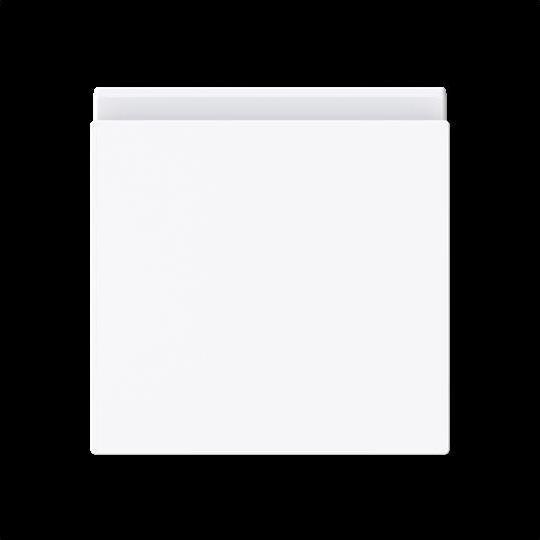 Actual product image Busch-Jaeger Intermediate ring